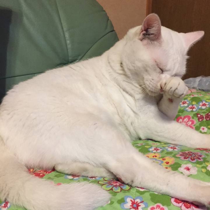 Df467a19 bcff 49bf 9acd 3073b73c872b