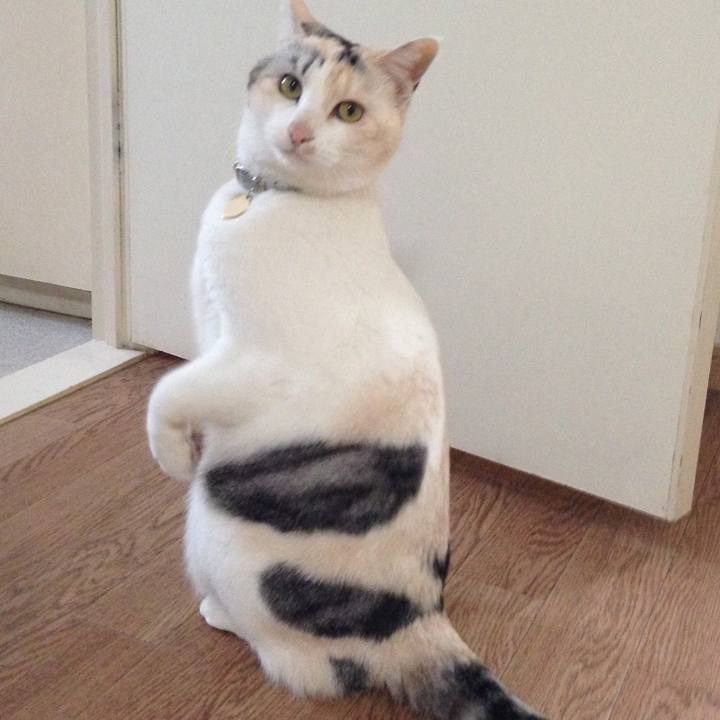 Df46a5c6 9601 4870 b586 6d4e1c43a0d7