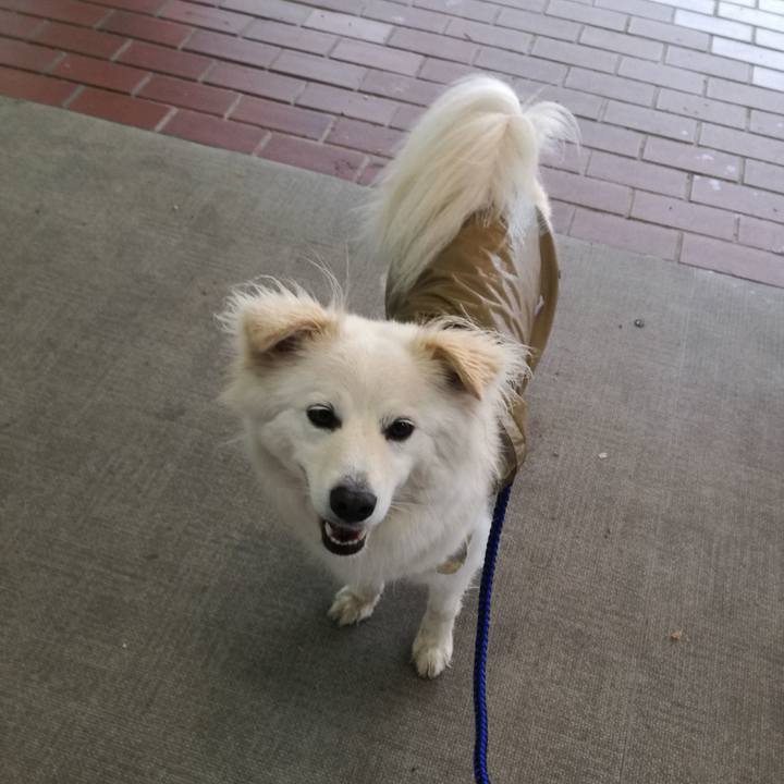 Df470c37 6f3b 4e27 8397 f1ffc95bf7ca