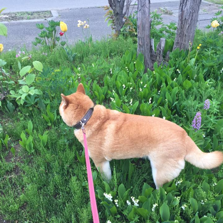 Df472787 83d5 443b be90 9aecfcaf1189