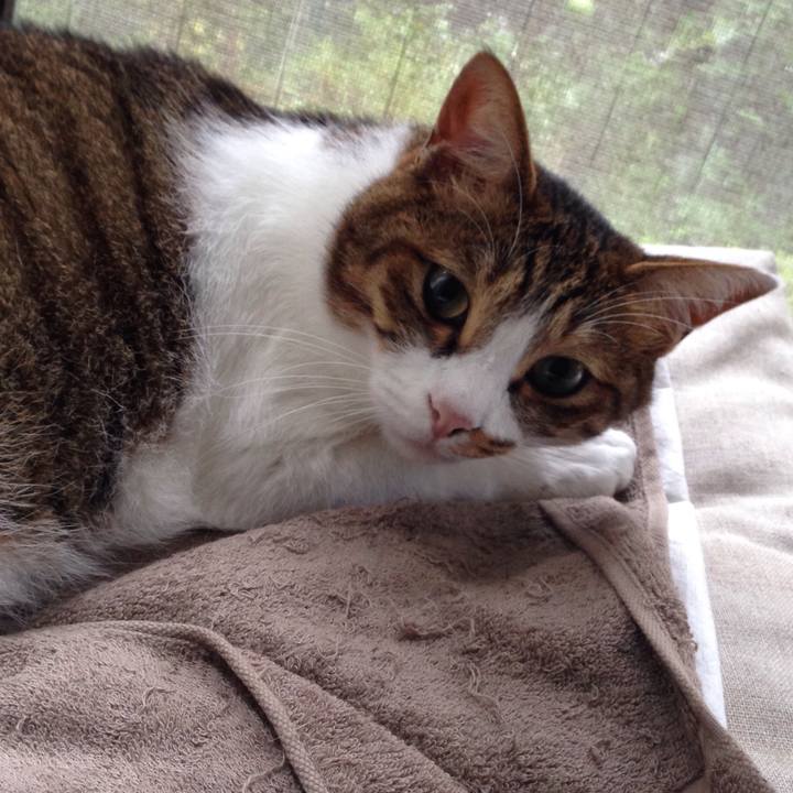 Df47de11 9a38 40bf 940f 2ac7d5aaf536