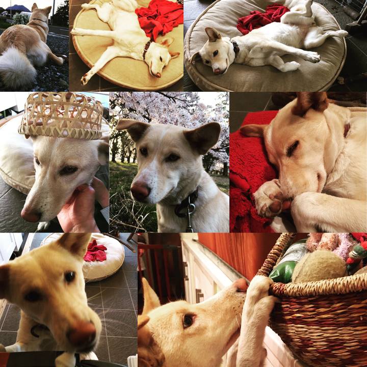 Df47e028 f296 4fc2 9e5e beb88da0a6c7