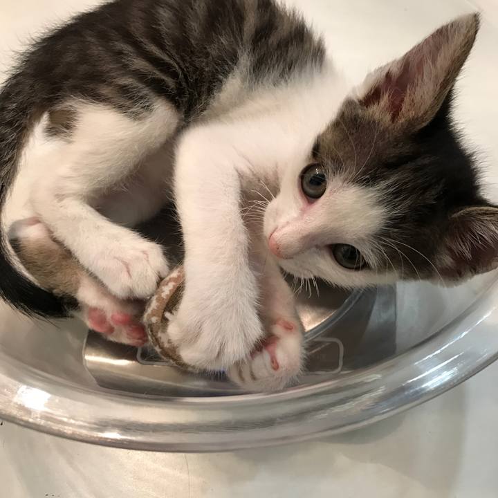 Df484511 2ad8 4b20 9dbf 346984d6bd96