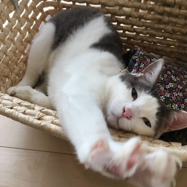 Df48638c 6ede 4b21 9589 71bf6c3700b5