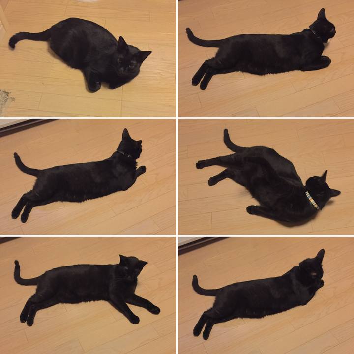 Df48bef2 9d8b 40b3 aa04 8c7a6627a732