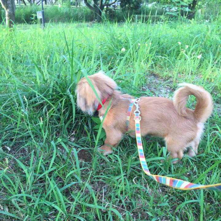 Df48f935 1b95 41e8 8001 b707e11f5ca2