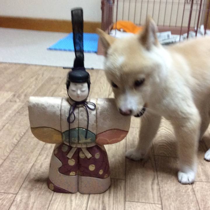 Df48ff76 c508 4c83 b57d bdf2b190d45a