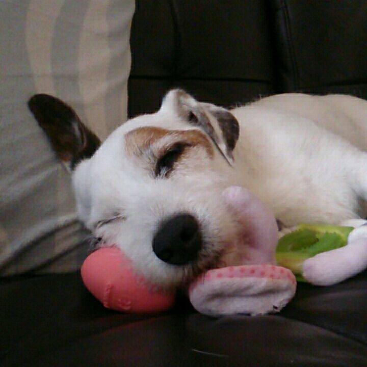 Df491b24 f650 4c1f a487 0d4fdba85861