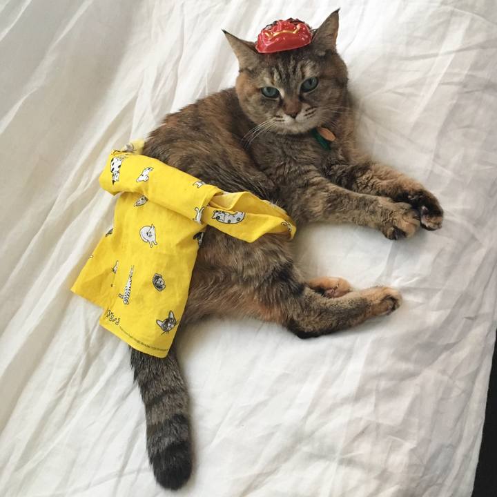 Df4950a2 3a39 4ce4 8d5e cf7ec9e671cd