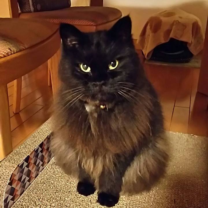 Df4a2093 3f42 4cf3 9a6a db23a19d18b7