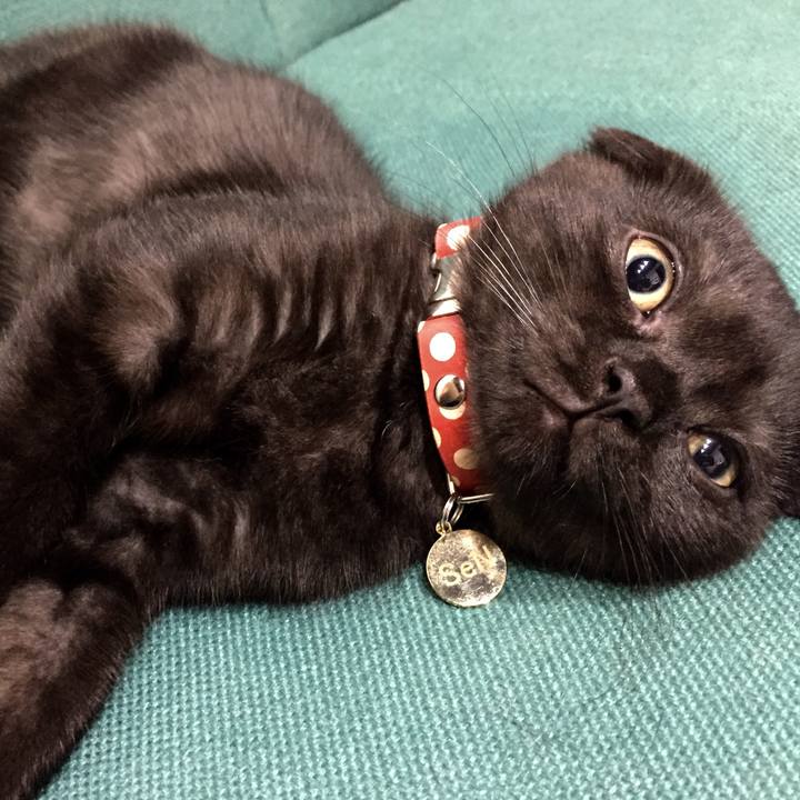 Df4ad1a0 3082 448e a5aa 39200e0dc5e7