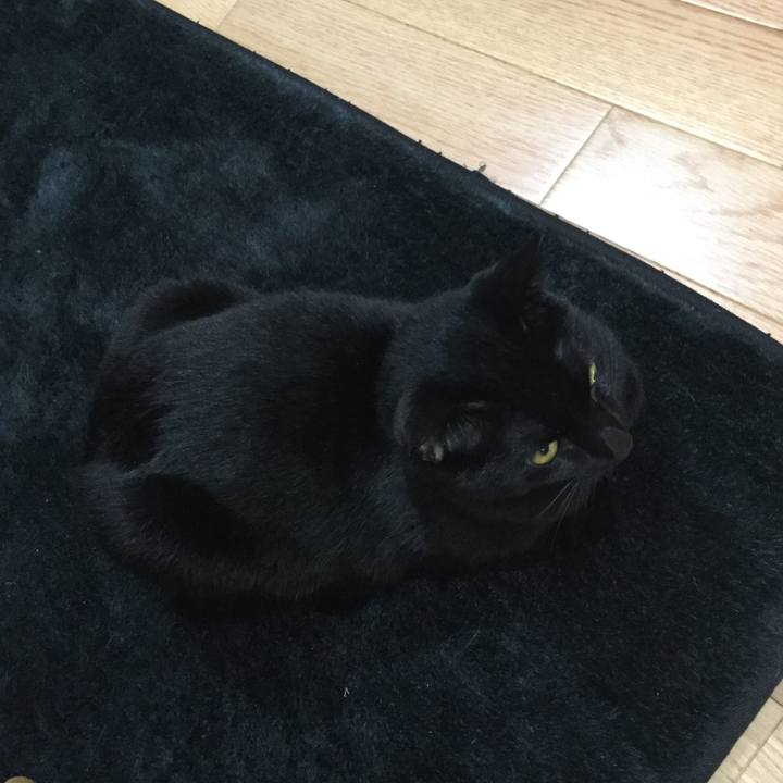 Df4b2b62 67c1 464d 9bfc 47201164ece4