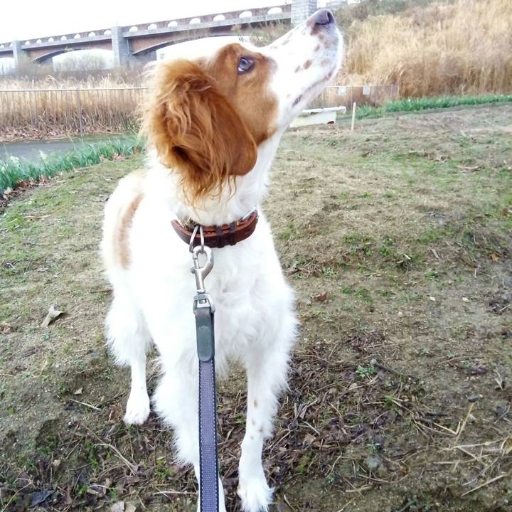 Df4b5481 0f9c 4d54 9aaf 9b5fdfe4b226