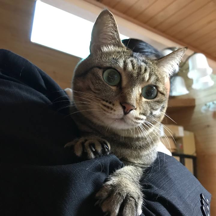 Df4bc532 8e80 4f6b 9d31 93af0e601f6e