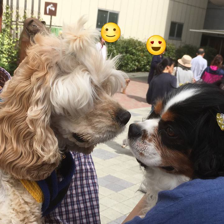 Df4bcb76 bc58 4994 be2b 3966223c0b58