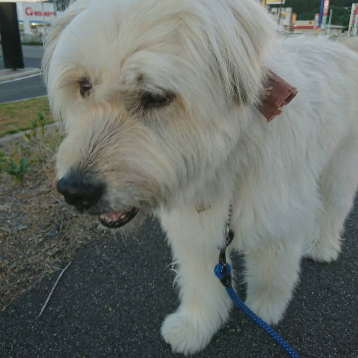 Df4bfb61 16c8 480e bca6 4493ba57e789