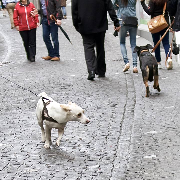 Df4d0643 3256 4427 8bd4 34405719885c