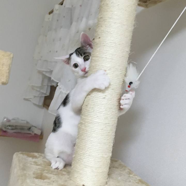 Df4d345d f542 4118 9b6c 5e110d5a2eac