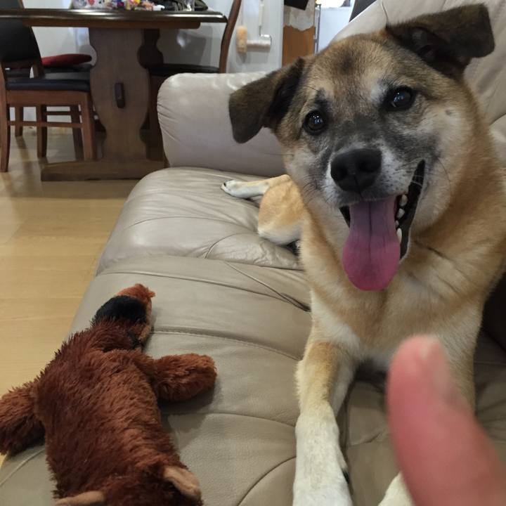 Df4ec312 0ba8 4cc1 ac32 6499f1880f7d