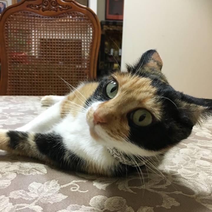 Df4f2b3b fb9a 4d3a a7d0 118cc418c499