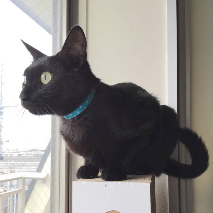 Df4f3a6d 9755 49e6 bb69 c34c362f975f