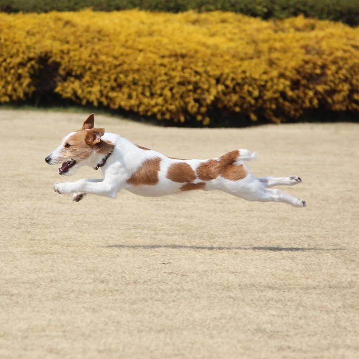 Df4fec50 6ecd 4046 a903 1cf1cb23d41c