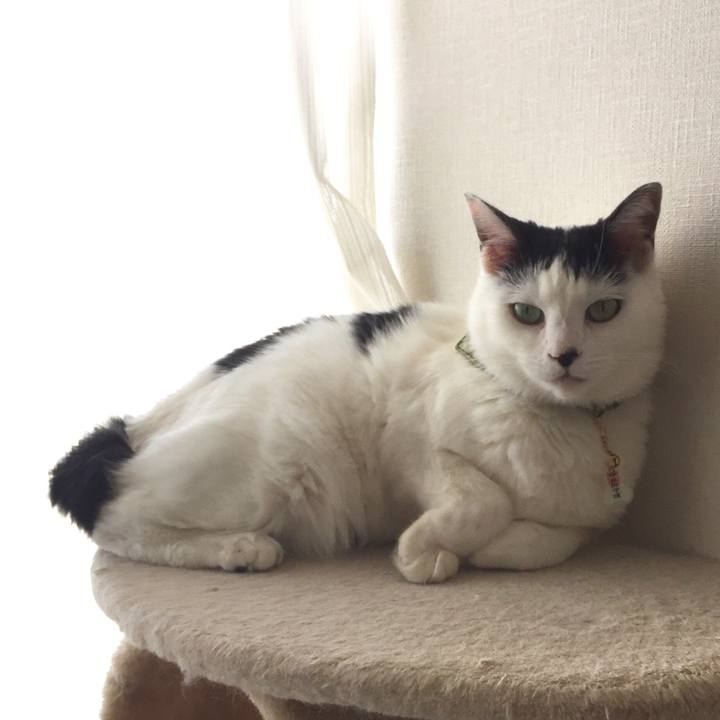 Df50379a 9894 439c 975d 48b87108e89a