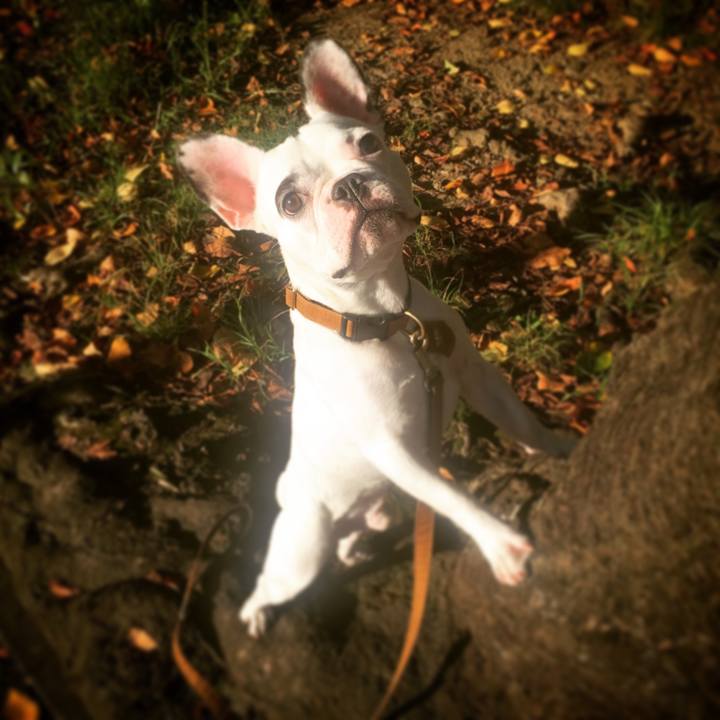 Df509dcf 5498 44d1 9da6 27cf07b33173