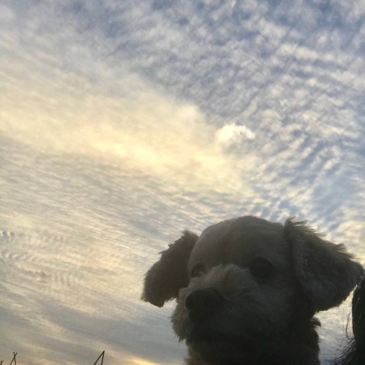 Df50a926 bc50 4ada 824d beb124c178ad