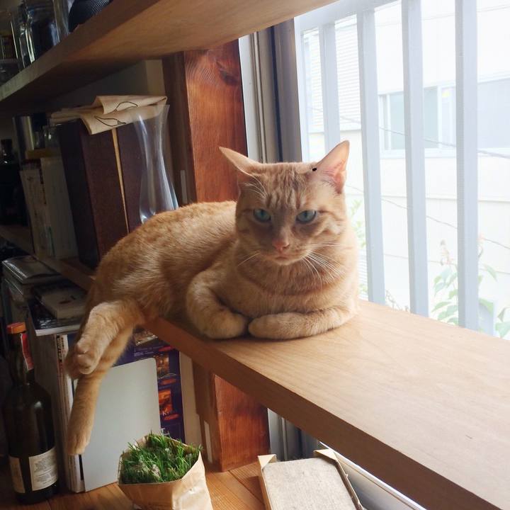 Df51957d c47f 4a55 8e05 e29e78c70d6e