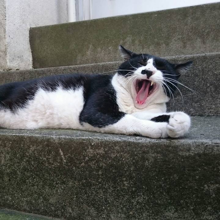 Df52559d 3c1e 49c2 ac46 13ff00db864e