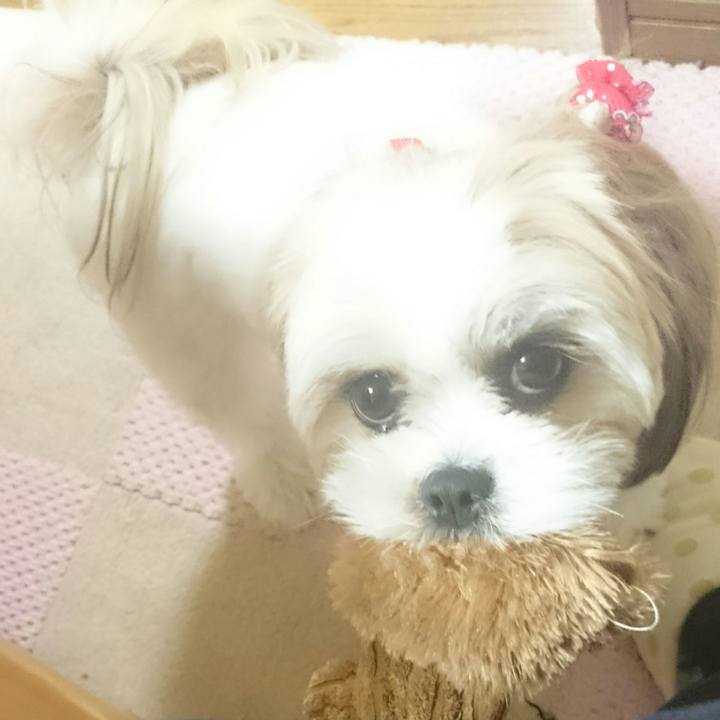 Df525789 af6c 42e9 8c88 960f96c7c21f