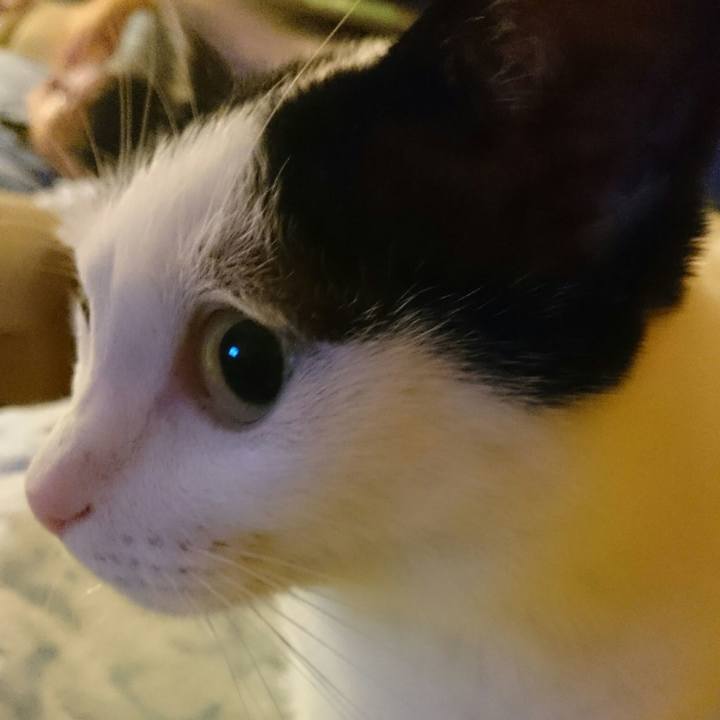 Df52e046 3cb2 4fff a5c1 1b6b39d02d82