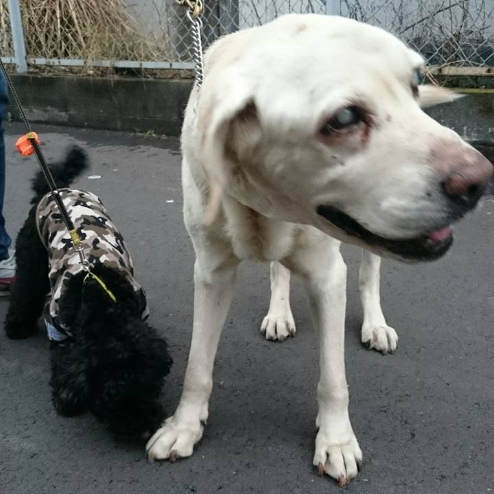 Df530939 4394 48e8 89e8 eb91367ce457