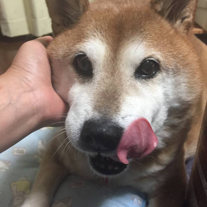 Df5397ba 1aad 41dd 98b3 f5d00634ff53