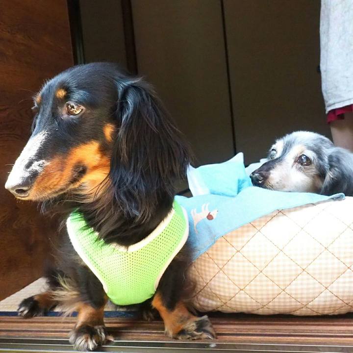 Df54a2f1 97c6 4033 b45e de6cee950384