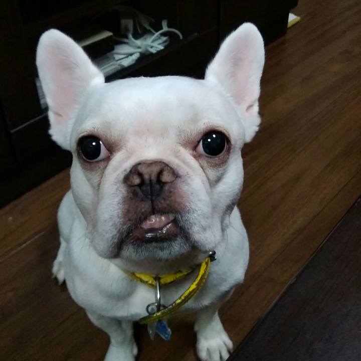 Df54ae82 a6a8 4b64 8d98 a6a53b35cdd1