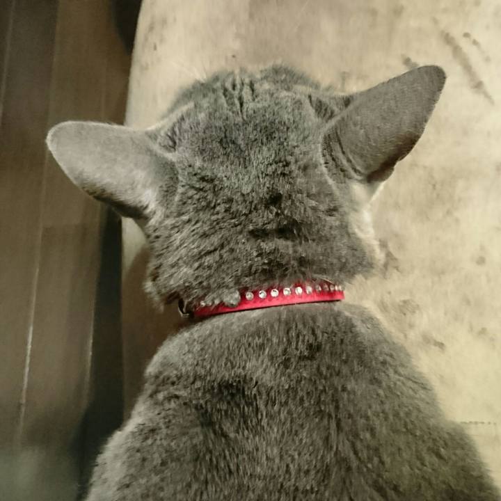 Df54dec7 9d97 4c75 9cdc a1d874fd95f5