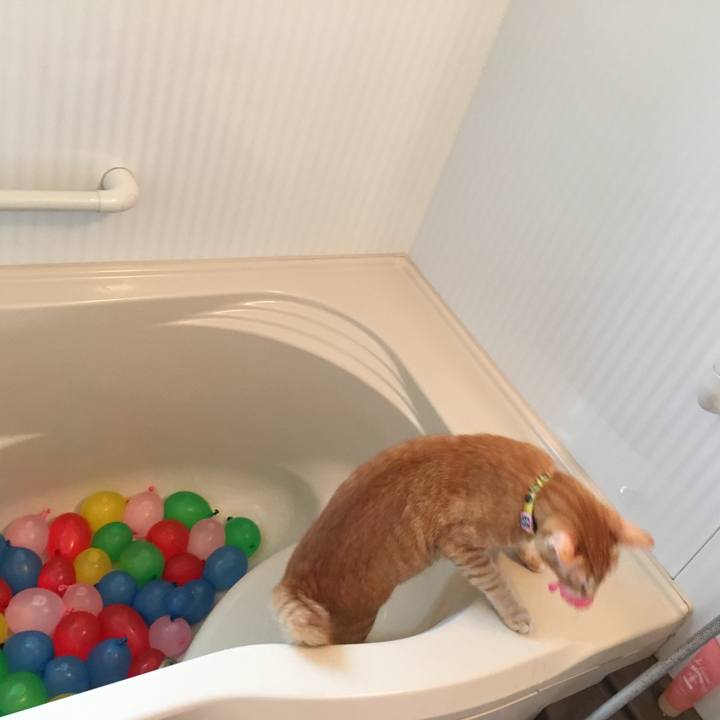 Df54f68e dc94 436b ac33 4ee7aafd3d11