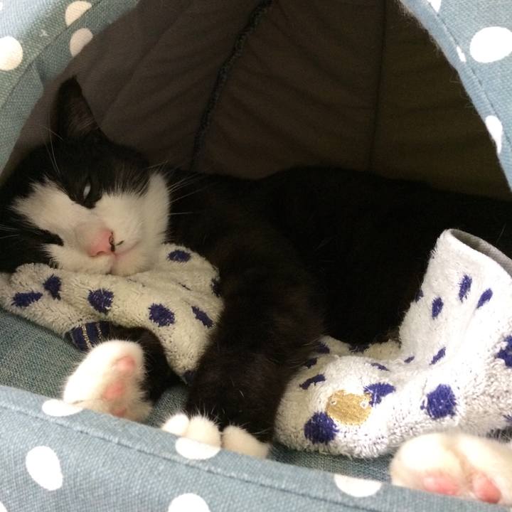 Df551811 6c82 4480 8440 f1985d00d0d4