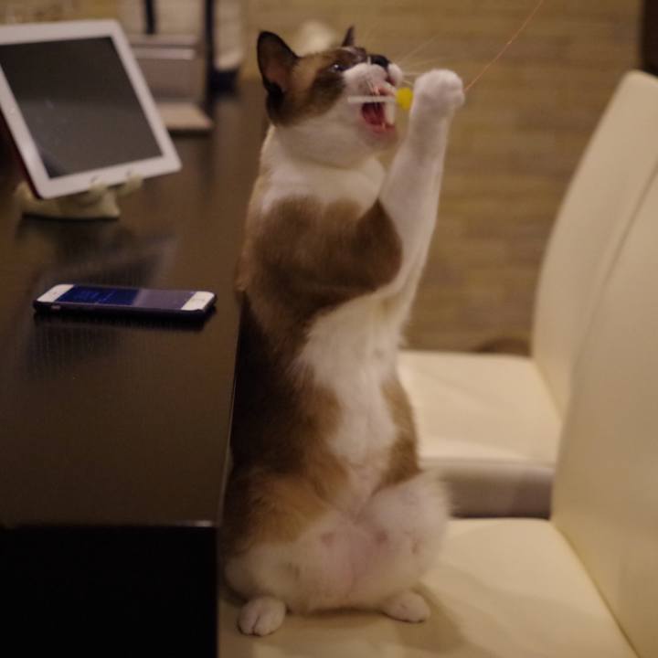 Df55426f 5721 4e8a b0e2 67f73eb5f256