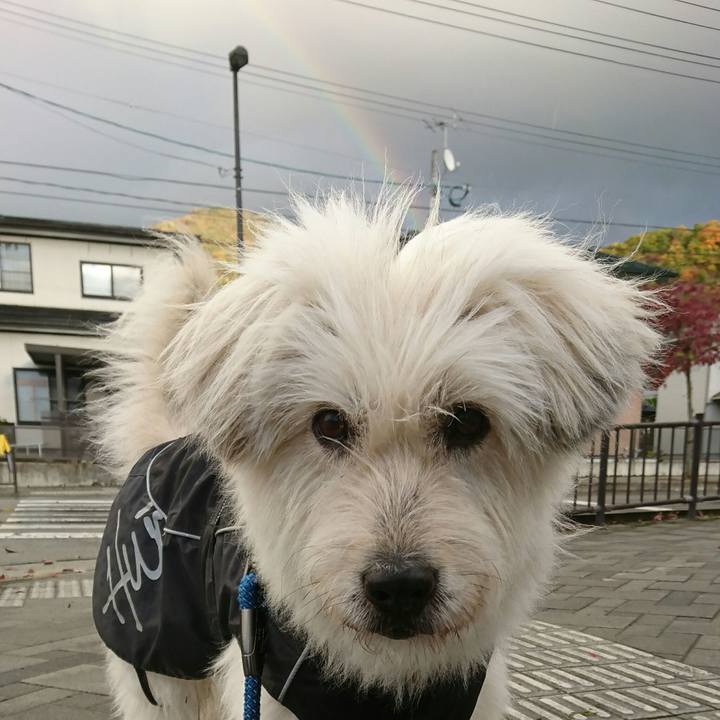 Df557194 9c39 40f9 b2f1 5f3d50318c71