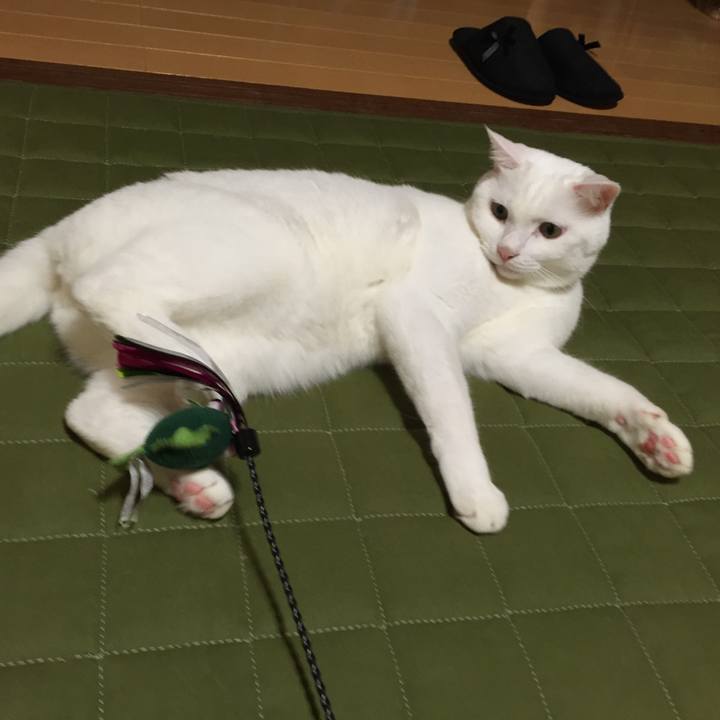 Df55fd81 75c8 4fd1 a845 1d6948c6ecb2