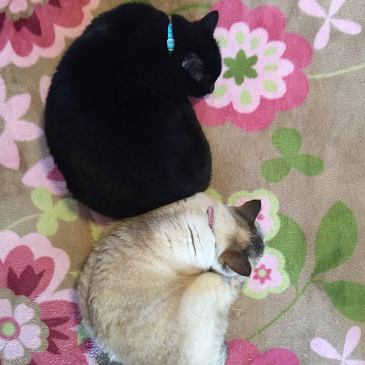 Df565c22 dbbf 4740 885f 7a00bb15a809