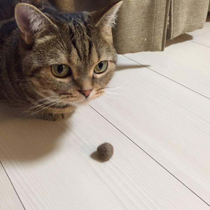 Df565c66 0408 4cd4 8a93 53340fda4c07