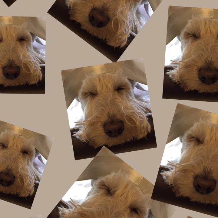 Df5670a8 b8cd 4671 8d39 779b9276b153