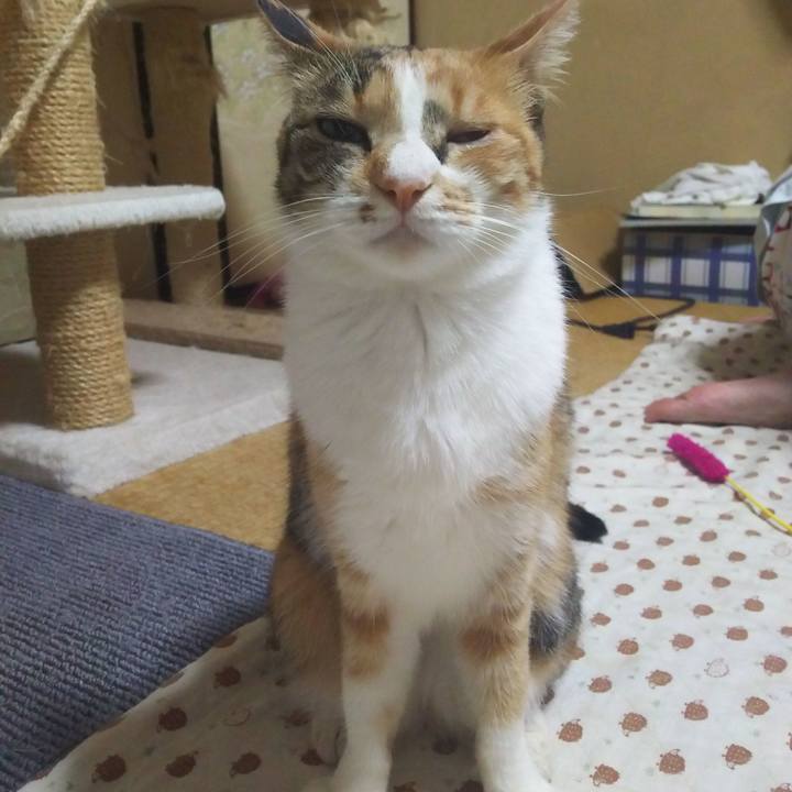 Df56771e eed0 4eb0 83ce a4fb0393df89