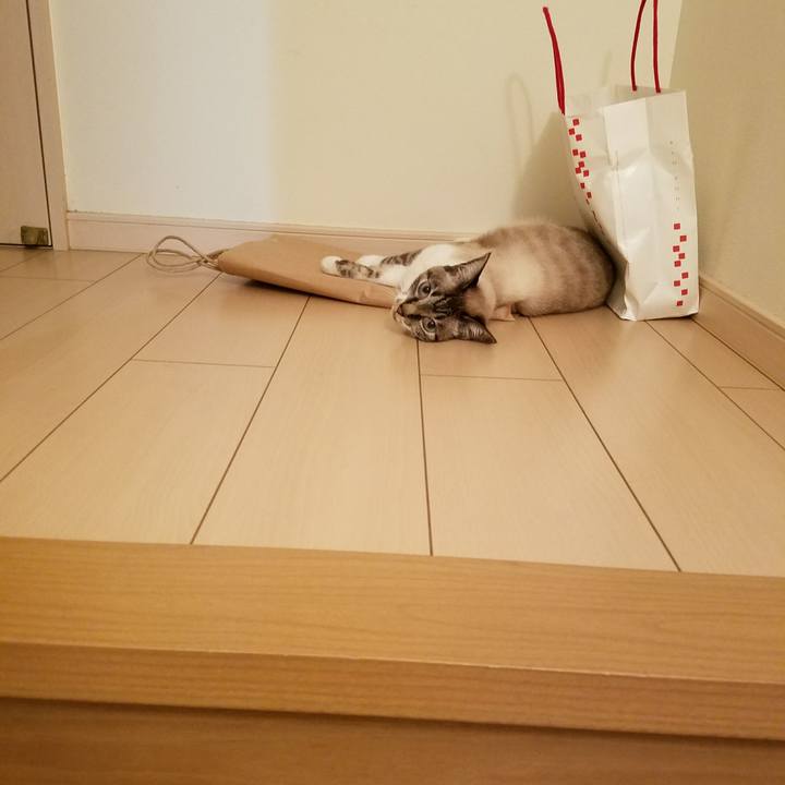 Df574c05 6d4f 475c 9675 74e72aa93018