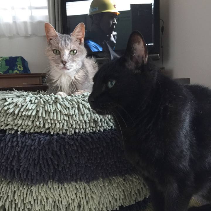 Df574e25 54b1 4086 99e8 06c17e9440ac