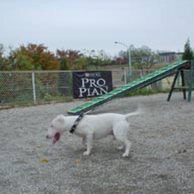 Df579634 f078 4742 ac55 7256087d0b0e